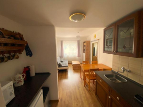 Apartmán u Sovů